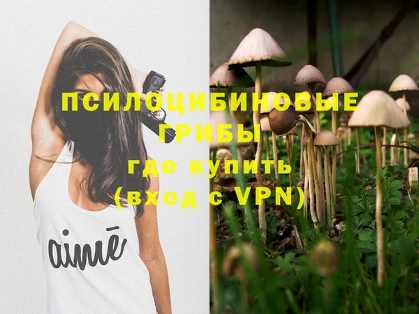 гидропоника Армянск