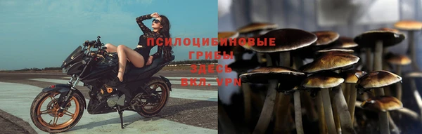 скорость Новозыбков