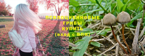 мет Арсеньев