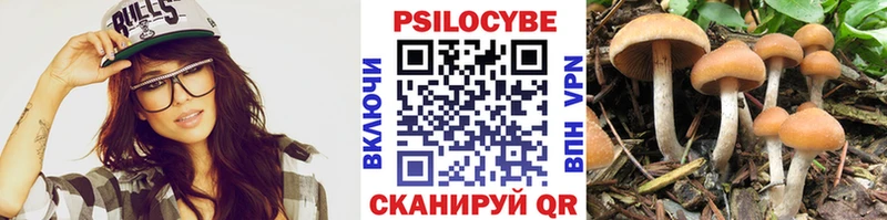 Галлюциногенные грибы Psilocybe цена наркотик Сурск